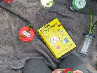 34 Kinder erkunden Fledermäuse und Insekten im Feriendorf Ober-Seemen