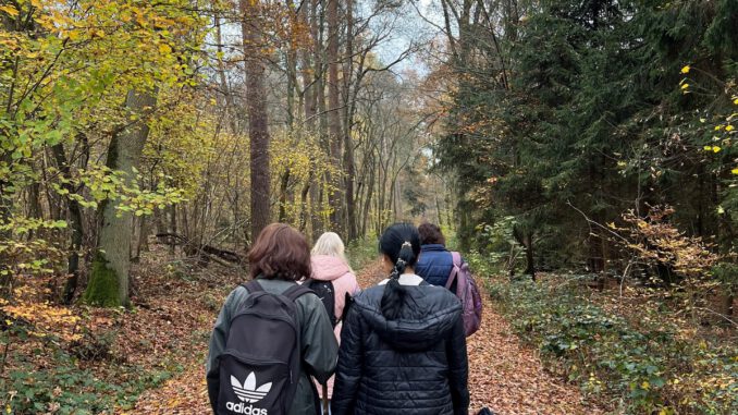 Hanau: Seniorenbüro organisiert Ganztageswanderung und Führung bei der Straßenbahn