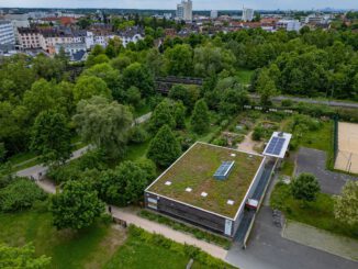 Hanau: Workshop zeigt, wie man umweltfreundliche Reinigungsmittel selbst herstellt