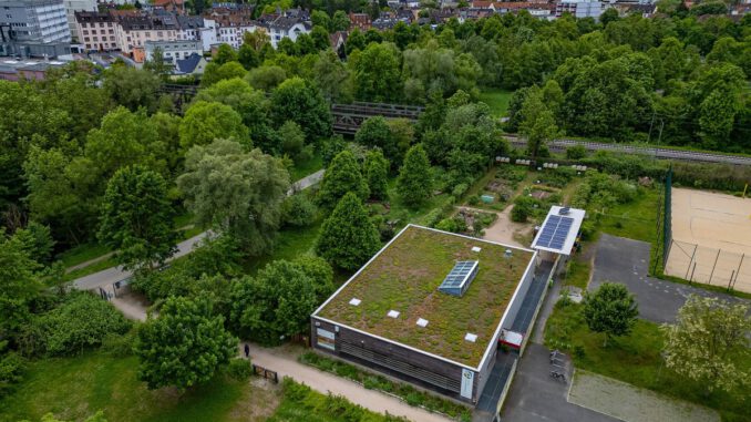 Hanau: Workshop zeigt, wie man umweltfreundliche Reinigungsmittel selbst herstellt