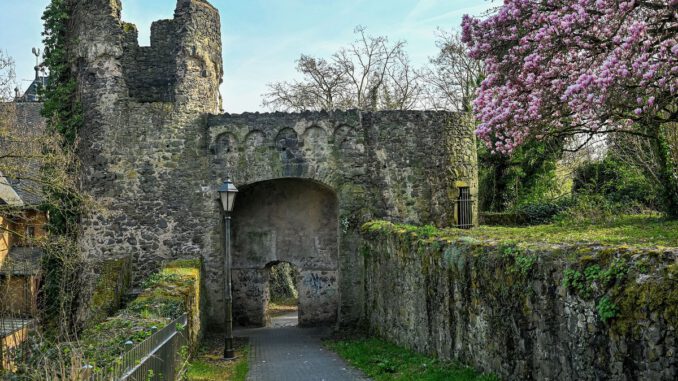 Steinheimer Stadtmauer: Große Ausbruchstelle instandgesetzt, Zustandsaufnahme läuft Steinheimer Stadtmauer: Große Ausbruchstelle instandgesetzt, Zustandsaufnahme läuft