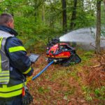 Waldbrand bei Klein-Auheim: 2,5 Hektar zerstört, Hanau verschärft Verbote und Kontrollen