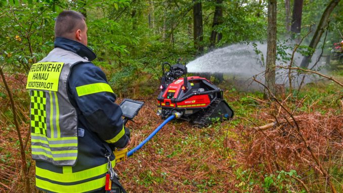 Waldbrand bei Klein-Auheim: 2,5 Hektar zerstört, Hanau verschärft Verbote und Kontrollen
